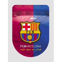 Samolepka 3D Barcelona FC (typ 19)