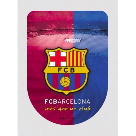 Samolepka 3D Barcelona FC (typ 19)
